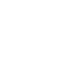 Recording Icon